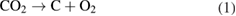Equation (1)