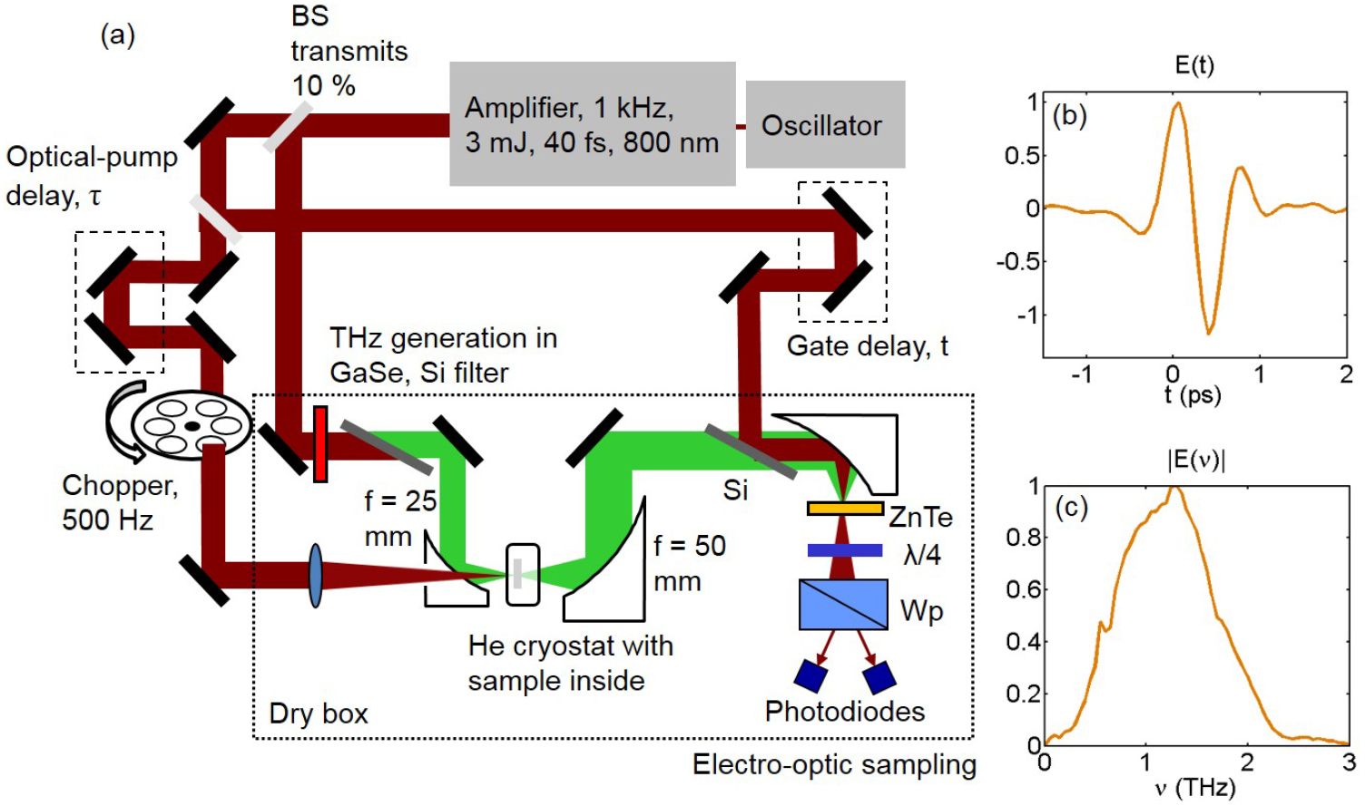 Using ultrashort terahertz pulses to directly probe spin dynamics in ...