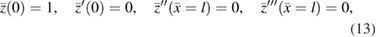 Equation (13)