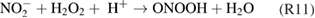 Equation (R11)
