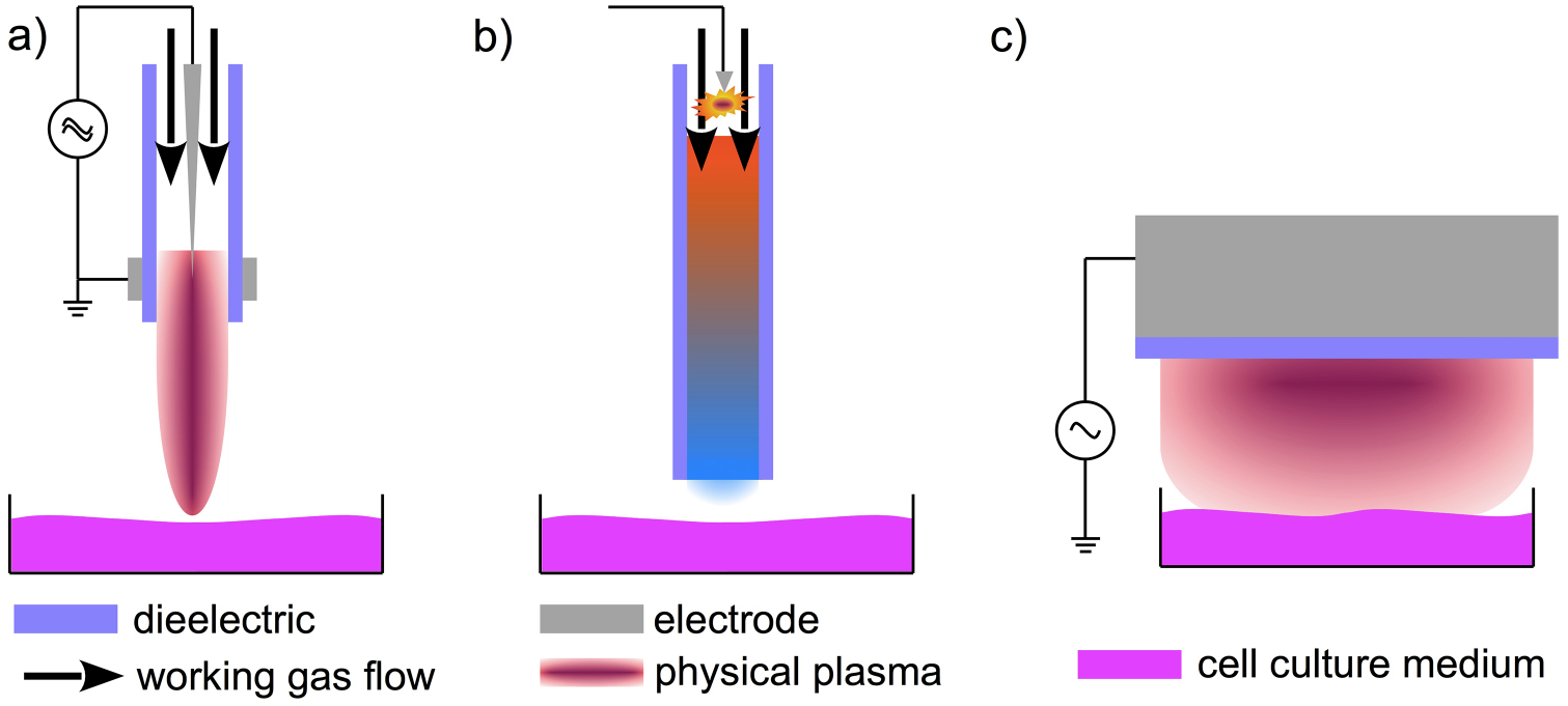 【セット】MEDIUM AMBIENT COLLECTION 2022 The kINPen—a review on physics and chemistry of the