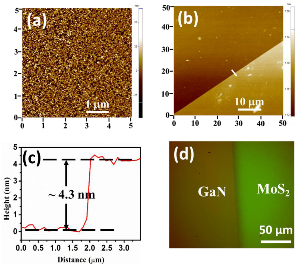 Wafer-scale synthesis of a uniform film of few-layer MoS2 on GaN for 2D ...