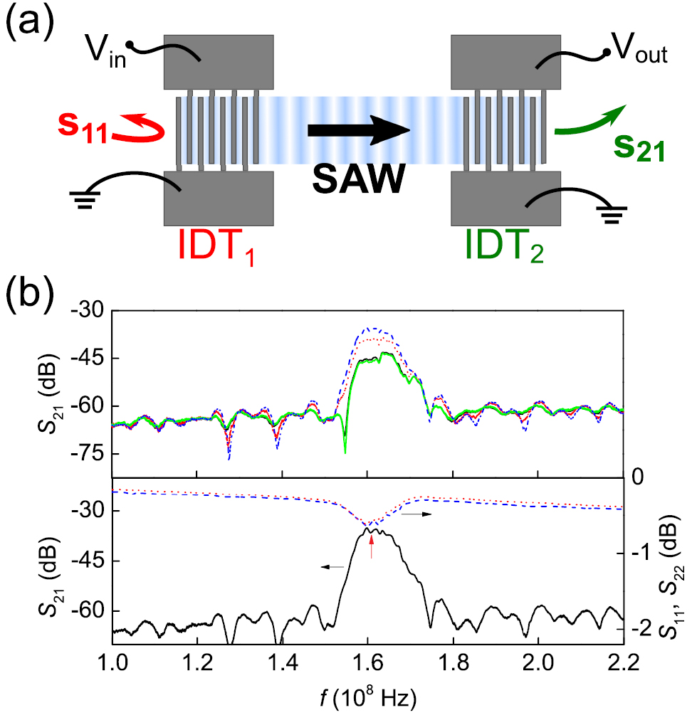 Interaction of surface acoustic waves with electronic excitations in ...
