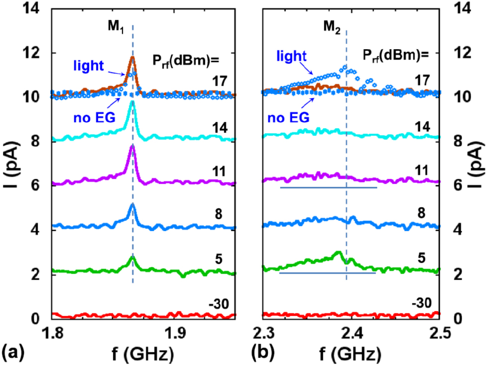 Interaction of surface acoustic waves with electronic excitations in ...