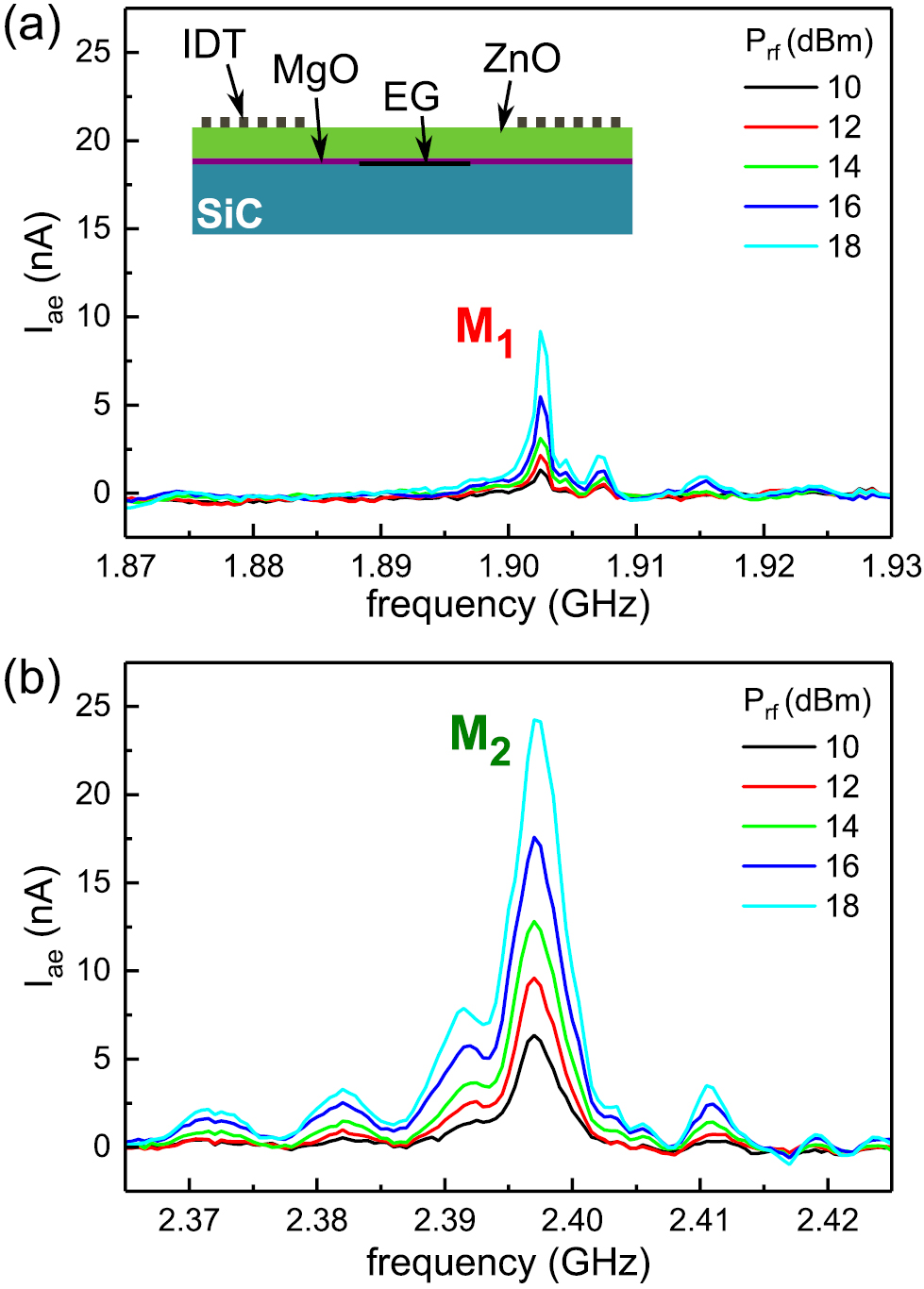 Interaction of surface acoustic waves with electronic excitations in ...