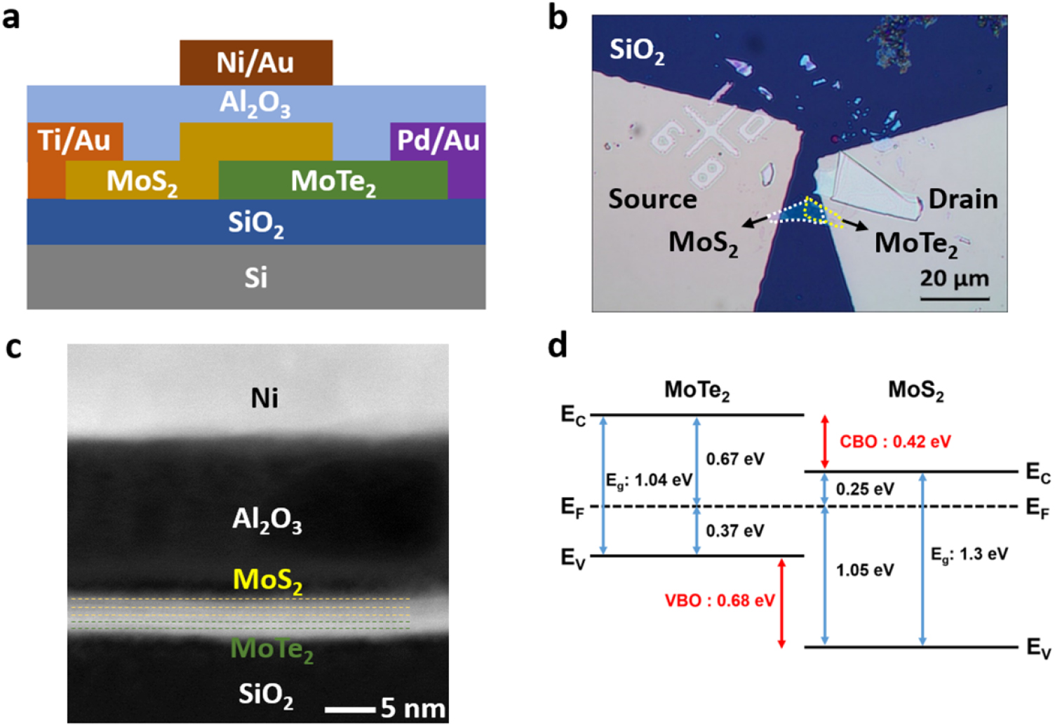 Vertical-tunneling field-effect transistor based on MoTe2/MoS2 2D–2D ...