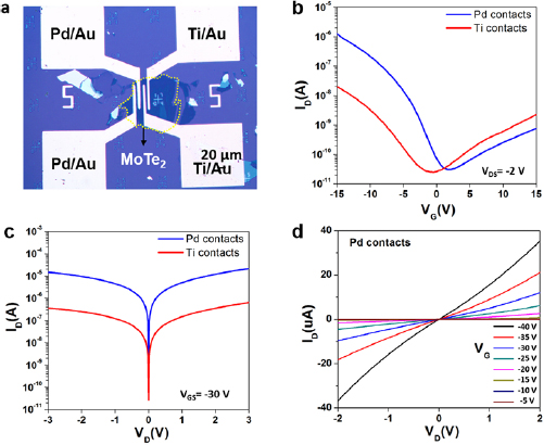 Vertical-tunneling field-effect transistor based on MoTe2/MoS2 2D–2D ...