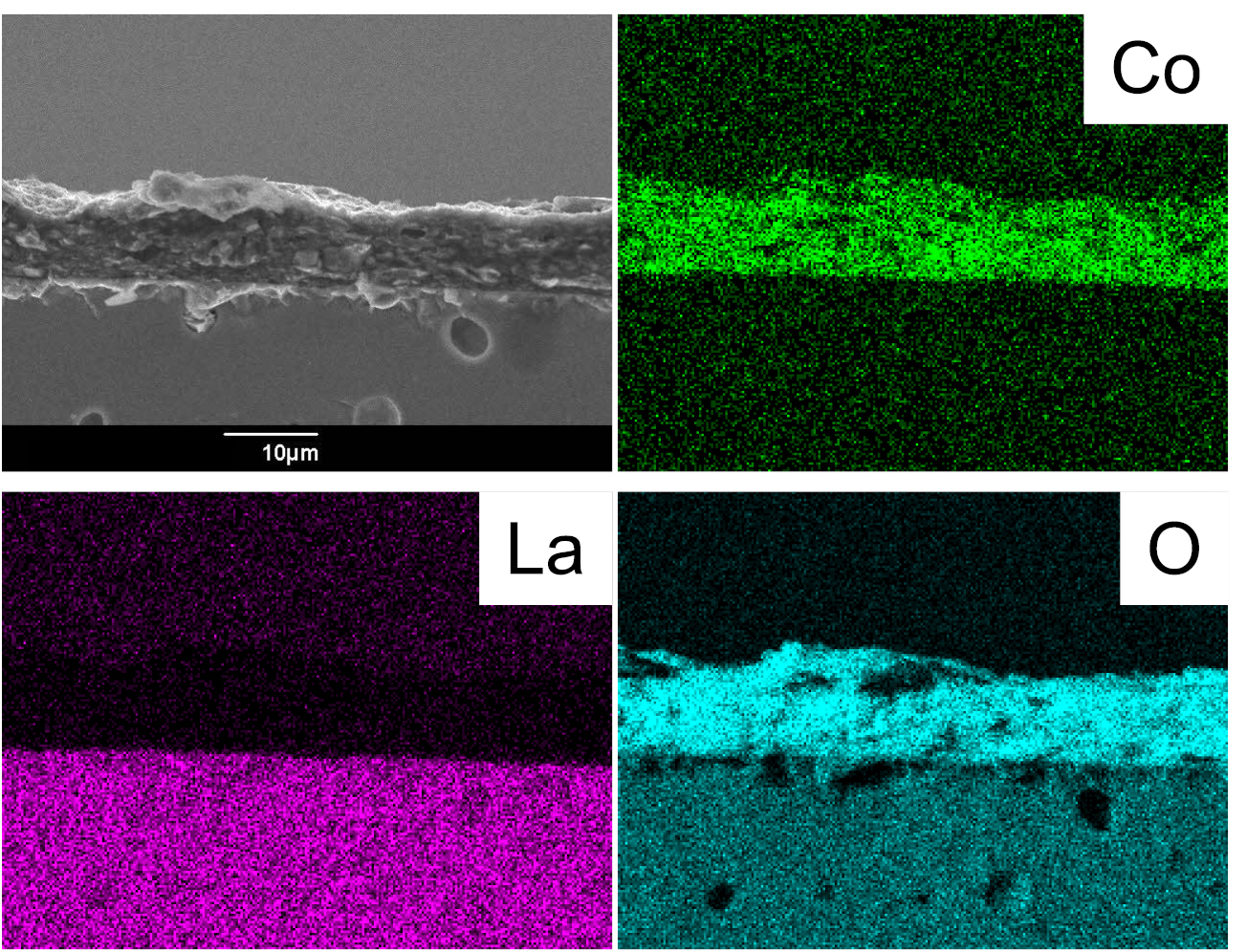 Recent progress for all solid state battery using sulfide and oxide ...