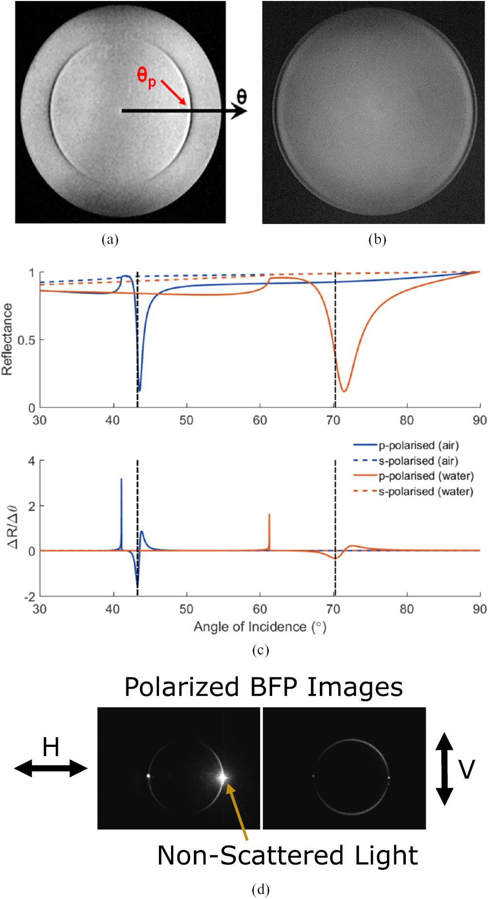 Surface plasmon resonance imaging of excitable cells - IOPscience