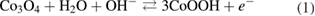 Equation (1)