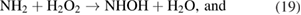 Equation (19)