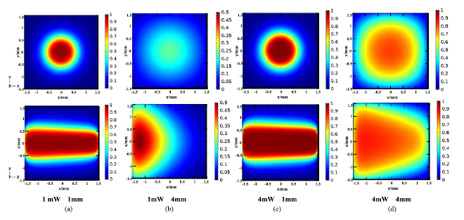 Pump beam influence on spin polarization homogeneity in the nuclear ...