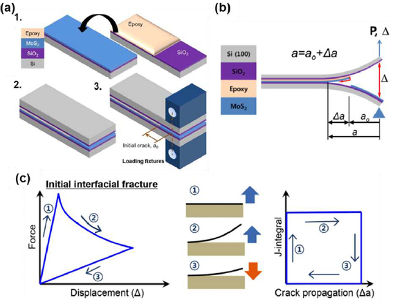 Adhesion properties of 2D materials - IOPscience