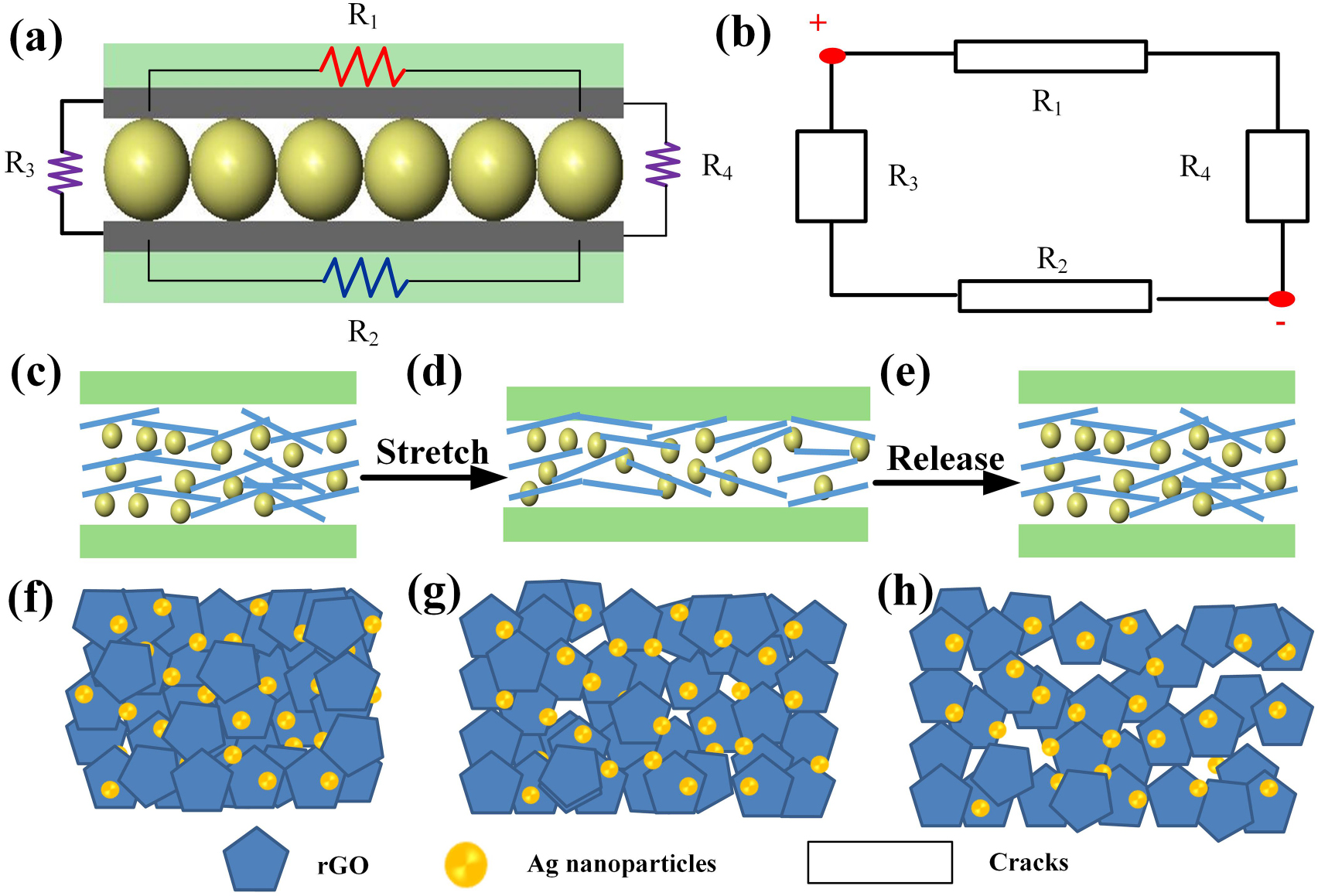 High-performance strain sensor based on a 3D conductive structure for ...