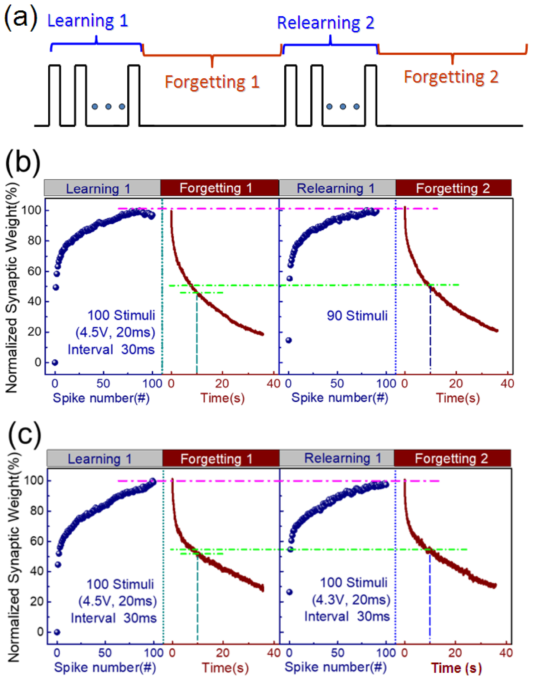 Flexible oxide neuromorphic transistors with synaptic learning ...