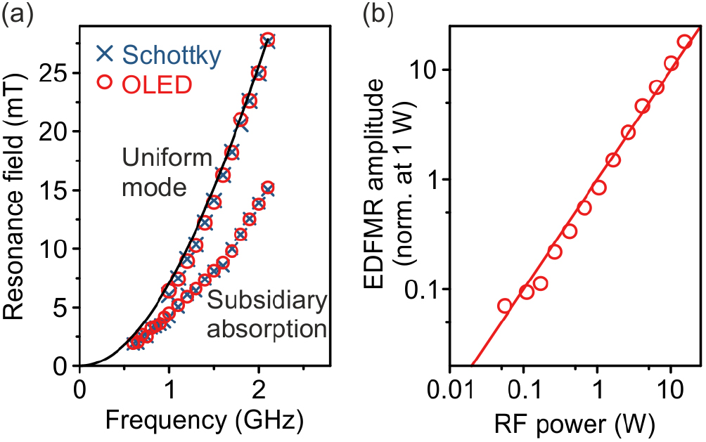 Electrical detection of ferromagnetic resonances with an organic light ...