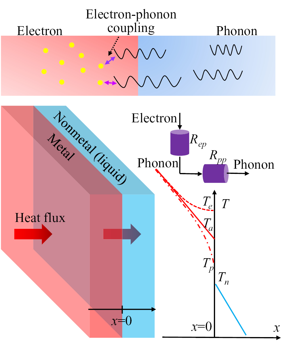 Role of electron–phonon coupling in thermal conductivity of metallic ...