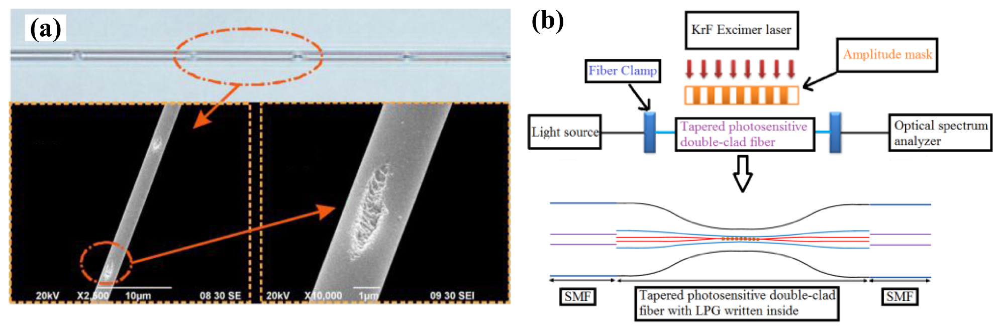 Recent advances in microfiber sensors for highly sensitive biochemical ...