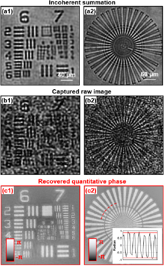 Ptychographic modulation engine: a low-cost DIY microscope add-on for ...