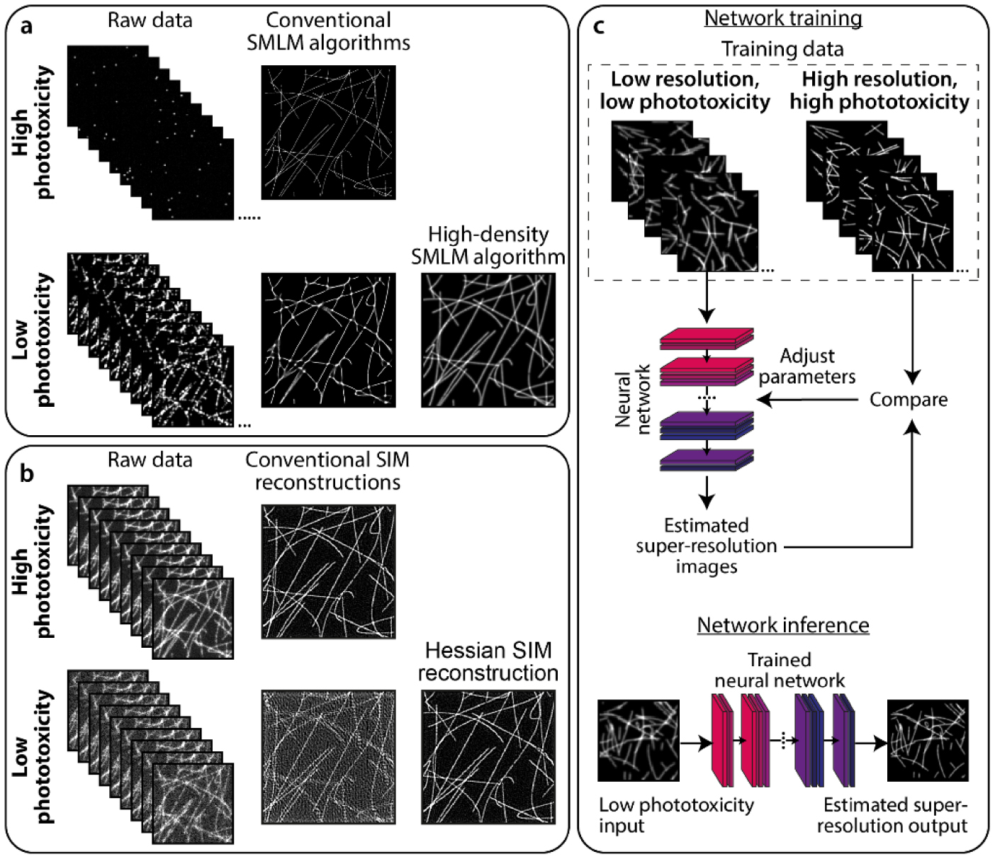 Between life and death: strategies to reduce phototoxicity in super ...
