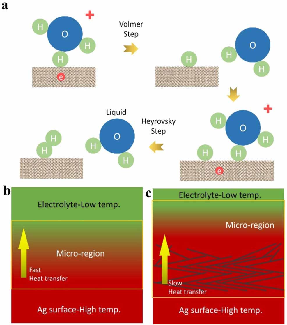 Improved hydrogen evolution at high temperature using an electro ...
