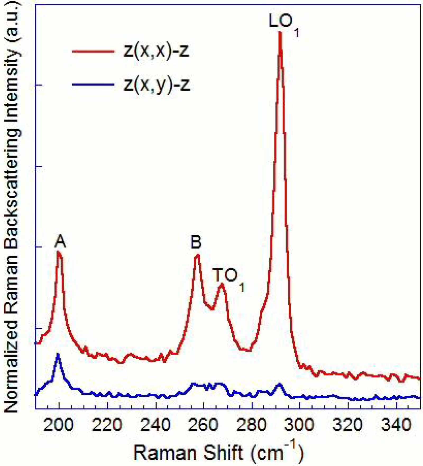 Origin of two special Raman modes in dilute nitrides