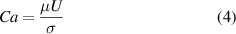 Equation (4)
