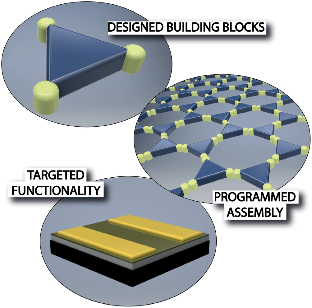 Design and construction of on-surface molecular nanoarchitectures ...