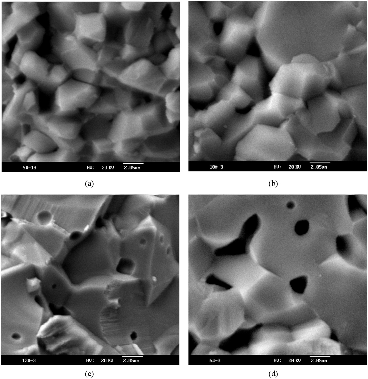 The surface charge of Al2O3 ceramic insulator under nanosecond pulse ...