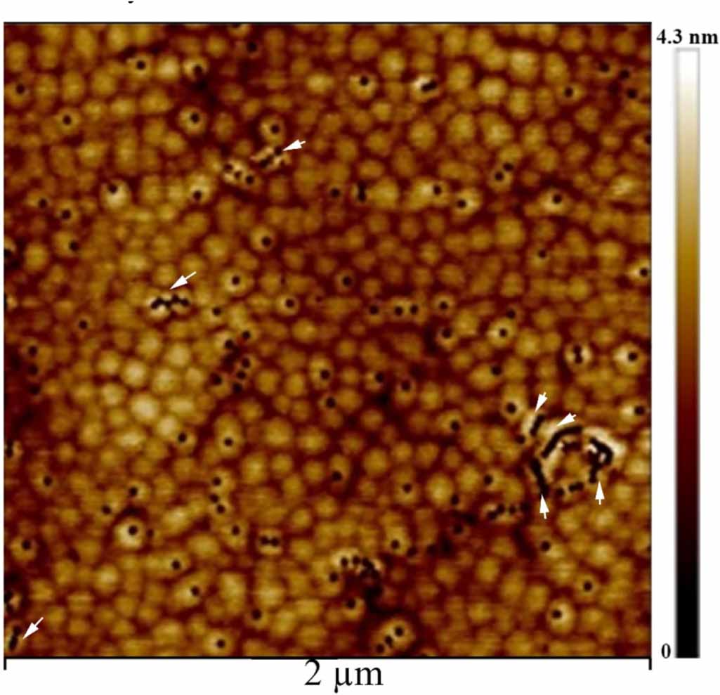 Indium segregation mechanism and V-defect formation at the [0001] InAlN ...