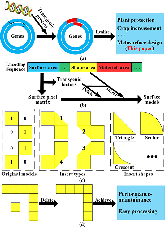 A transgenic genetic algorithm design method that helps to increase the ...