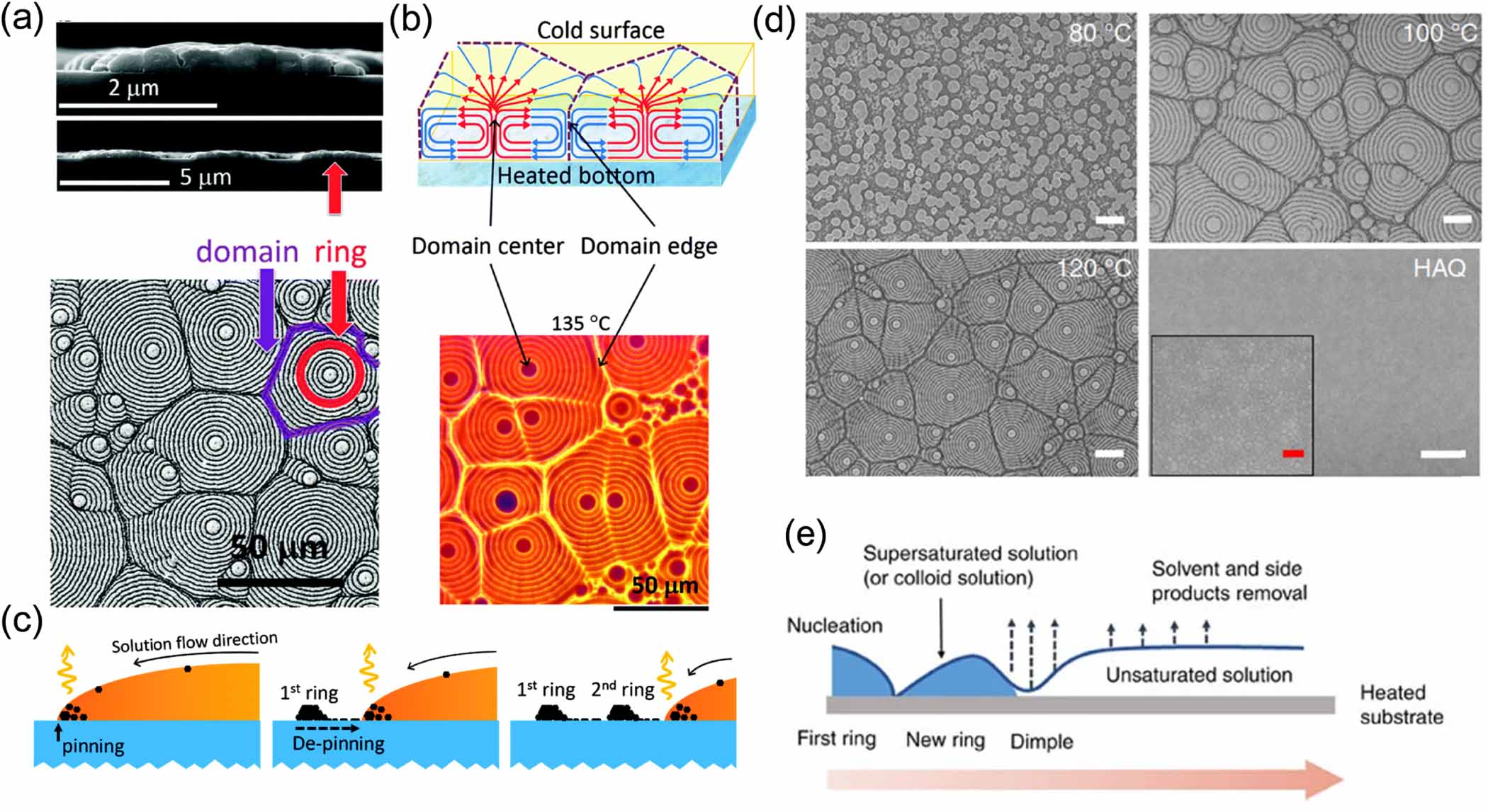 Factors influencing the nucleation and crystal growth of solution ...