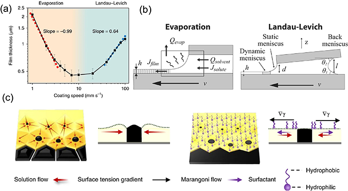 Factors influencing the nucleation and crystal growth of solution ...