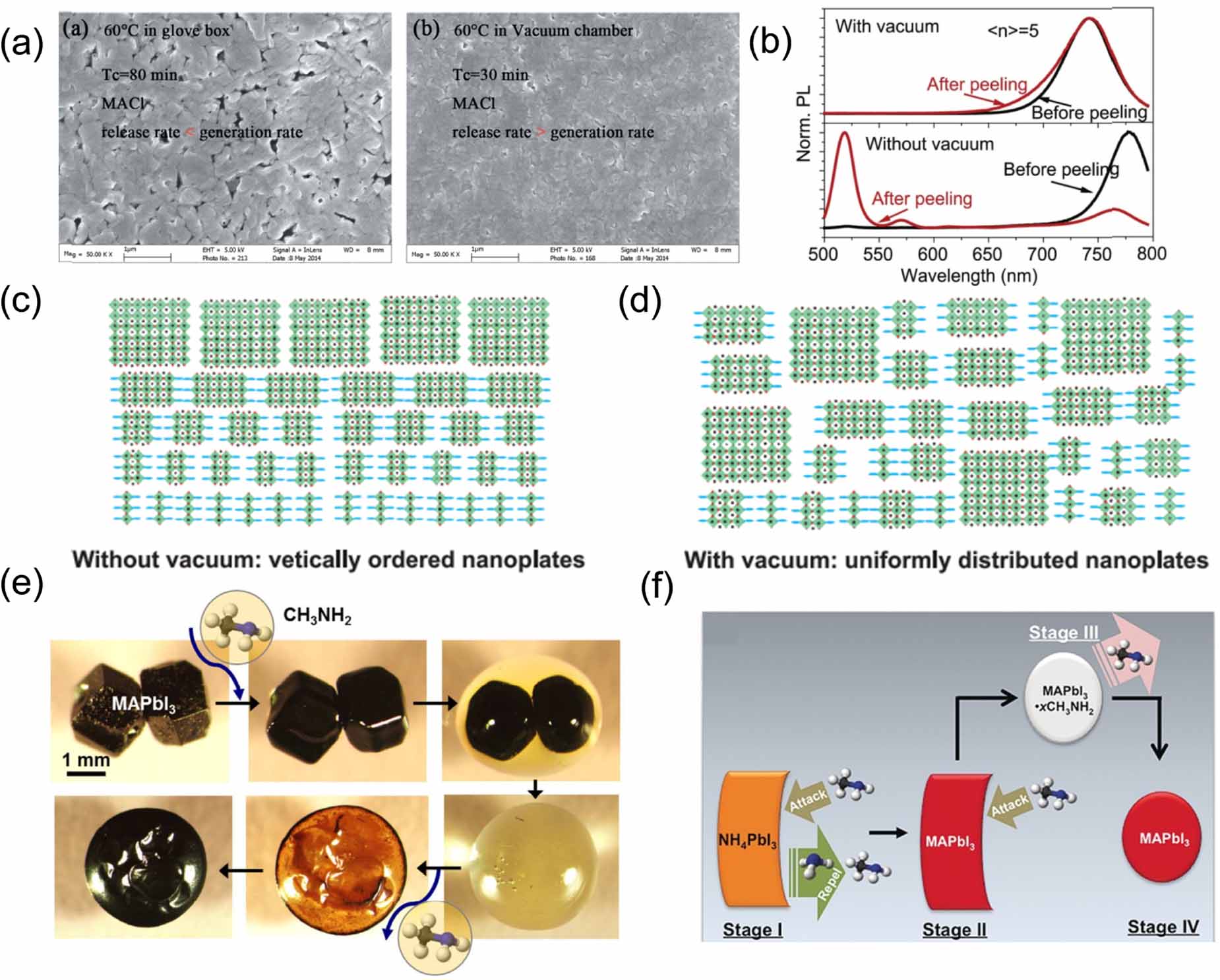 Factors influencing the nucleation and crystal growth of solution ...