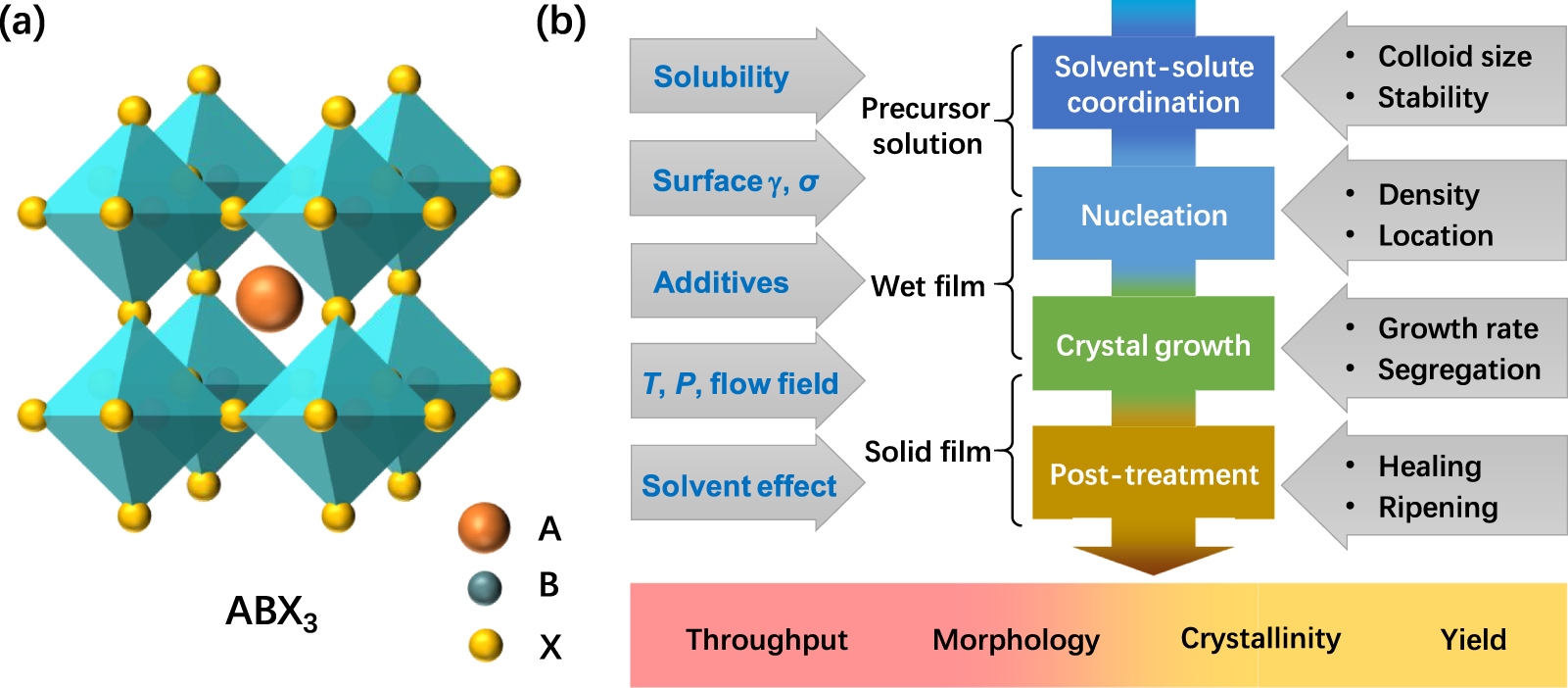 Factors influencing the nucleation and crystal growth of solution ...