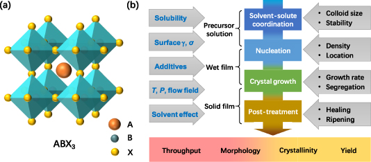 Factors influencing the nucleation and crystal growth of solution ...