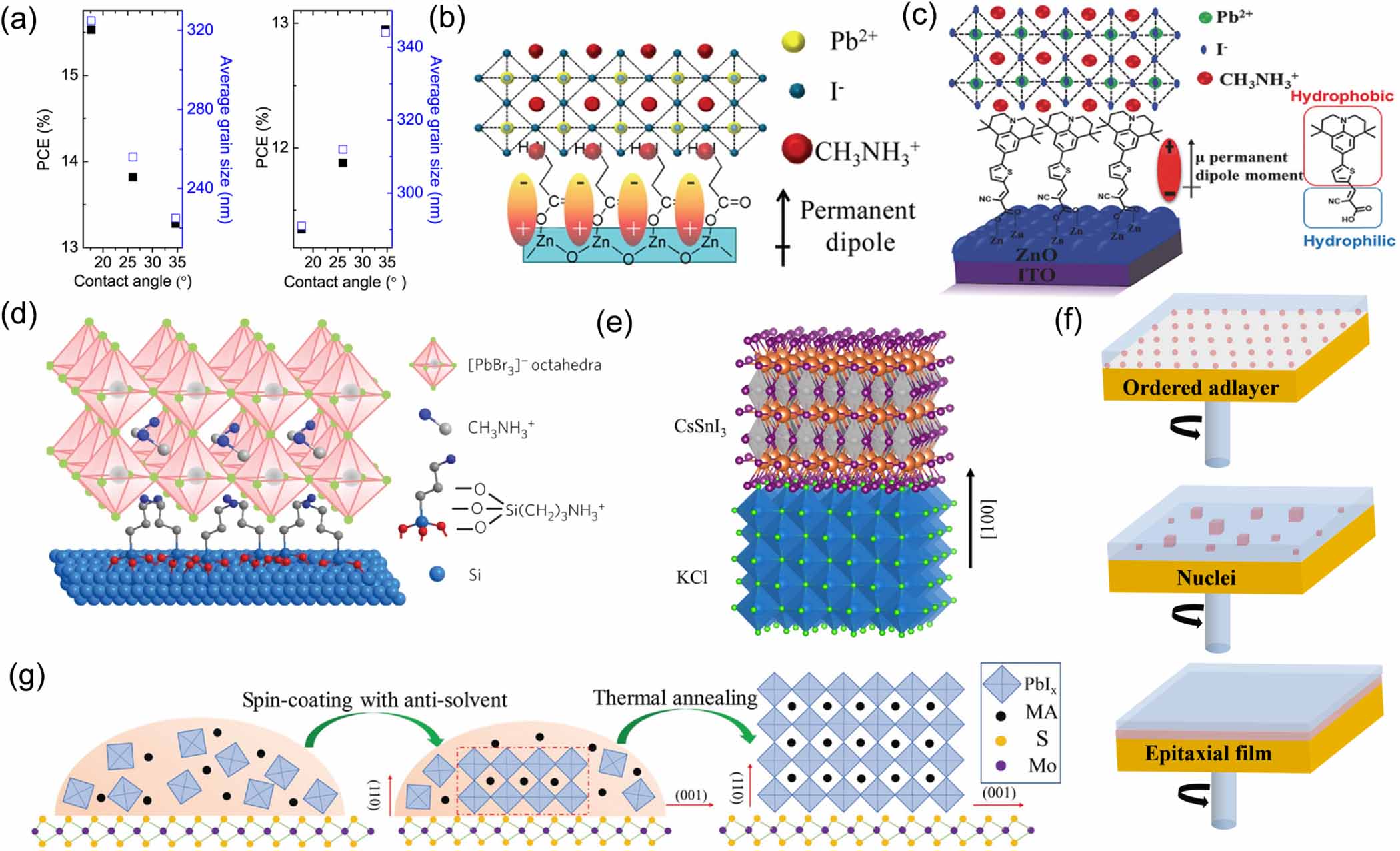 Factors influencing the nucleation and crystal growth of solution ...