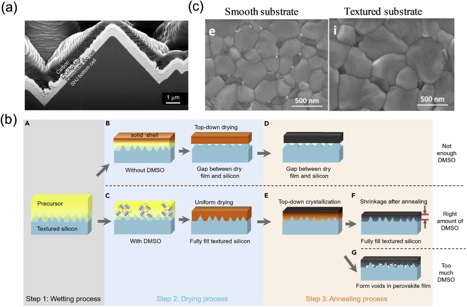 Factors influencing the nucleation and crystal growth of solution ...