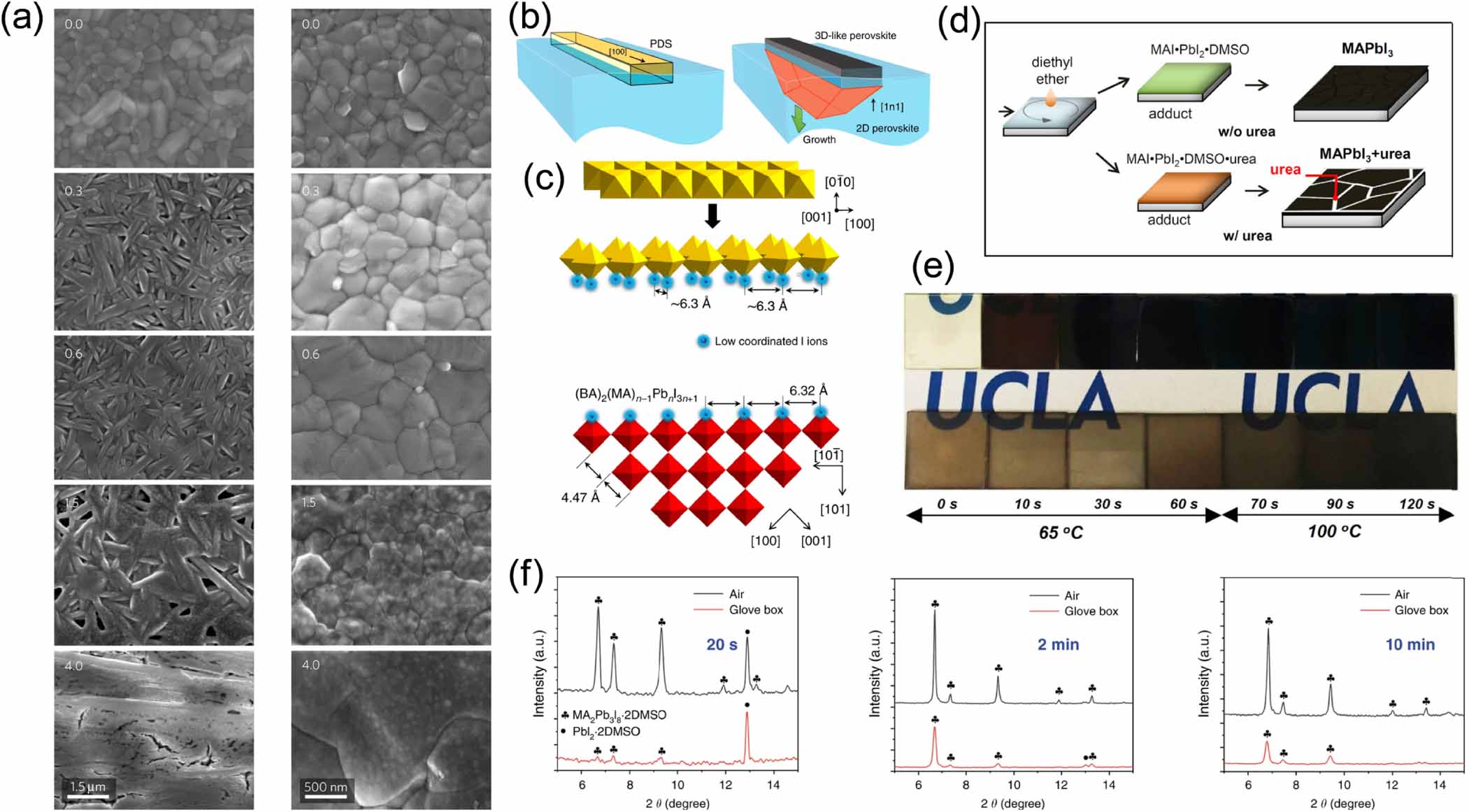 Factors influencing the nucleation and crystal growth of solution ...