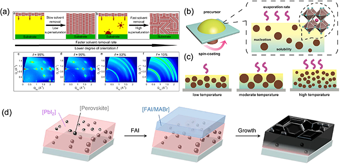 Factors influencing the nucleation and crystal growth of solution ...