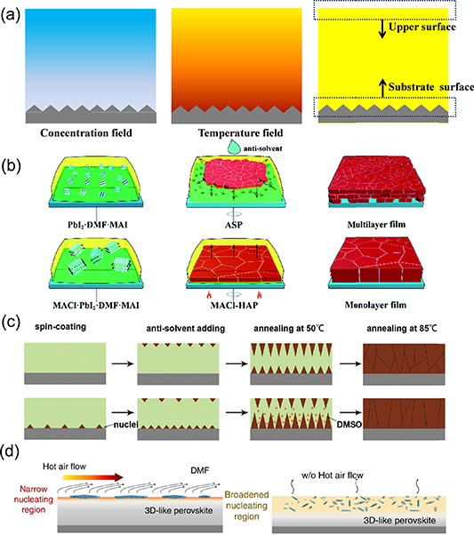Factors influencing the nucleation and crystal growth of solution ...