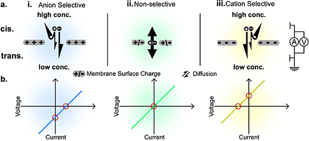 Ionic and molecular transport in aqueous solution through 2D and ...