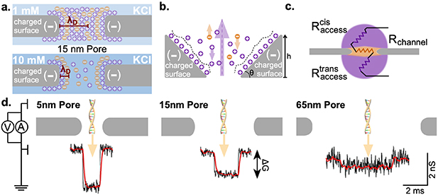 Ionic and molecular transport in aqueous solution through 2D and ...
