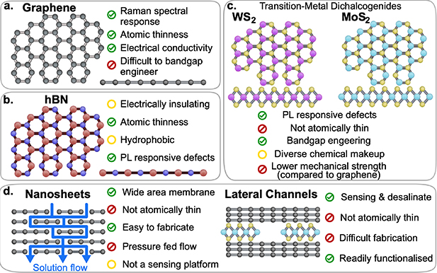 Ionic and molecular transport in aqueous solution through 2D and ...