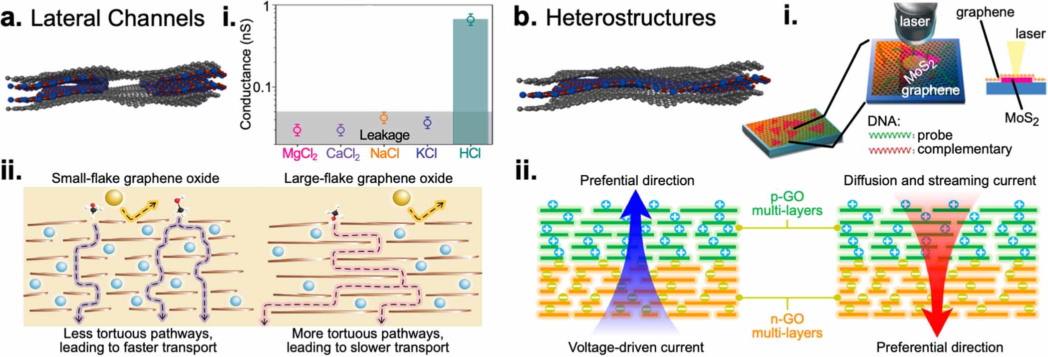 Ionic and molecular transport in aqueous solution through 2D and ...