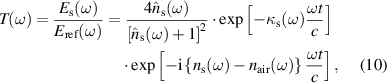 Equation (10)