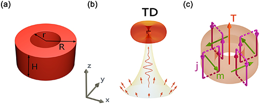 Toroidal dipole response in the individual silicon hollow cylinder ...