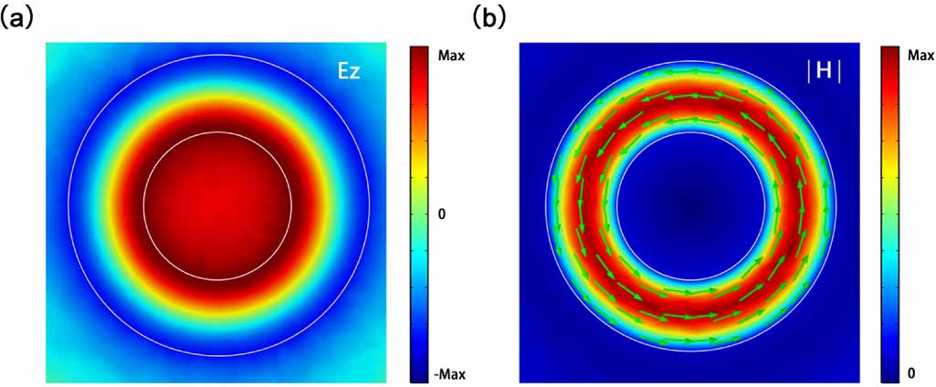 Toroidal dipole response in the individual silicon hollow cylinder ...