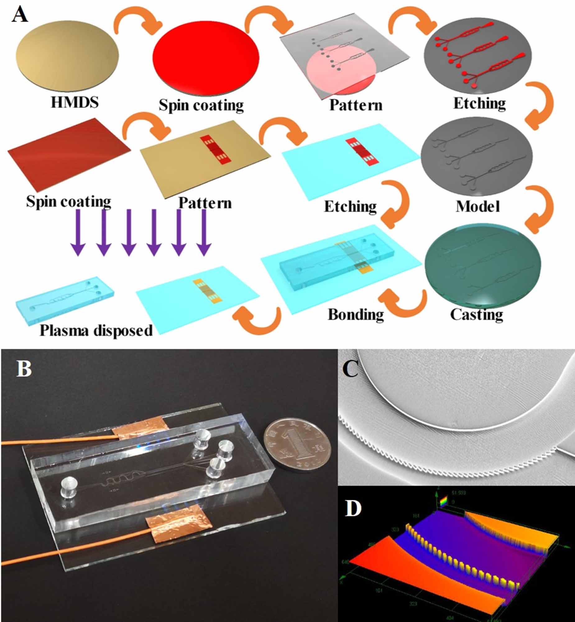 A particle-capturing and -separating, sheathless chip in series with ...