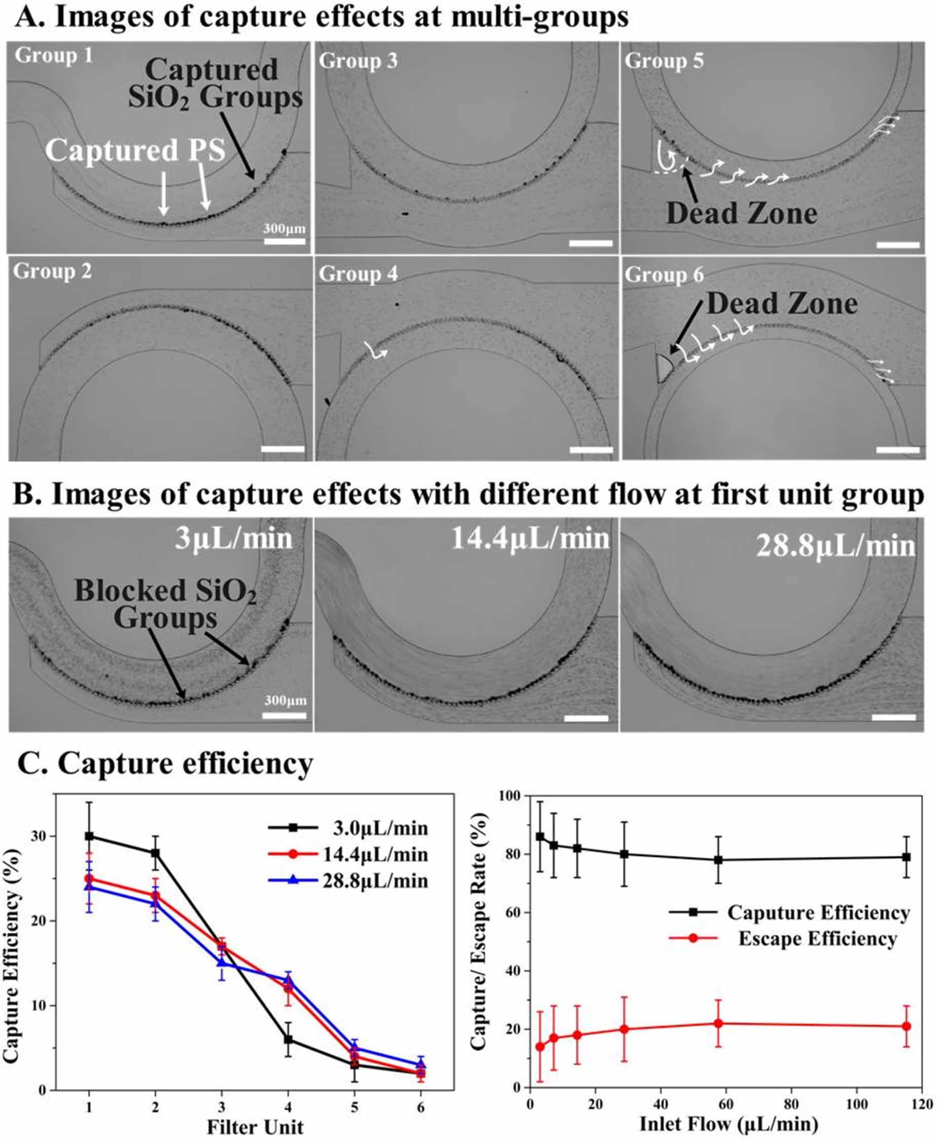 A particle-capturing and -separating, sheathless chip in series with ...